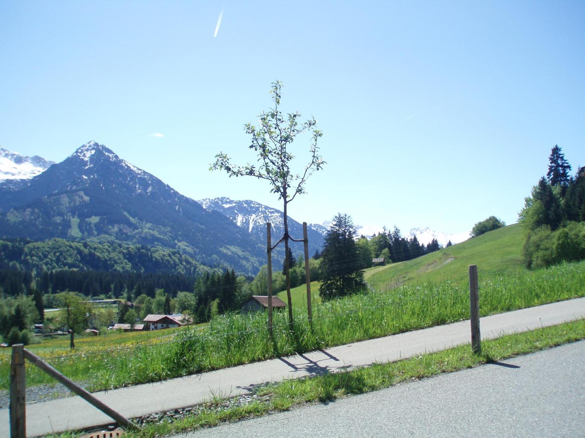 Hotel Alpenblick Fischen im Allgaeu Eksteriør billede