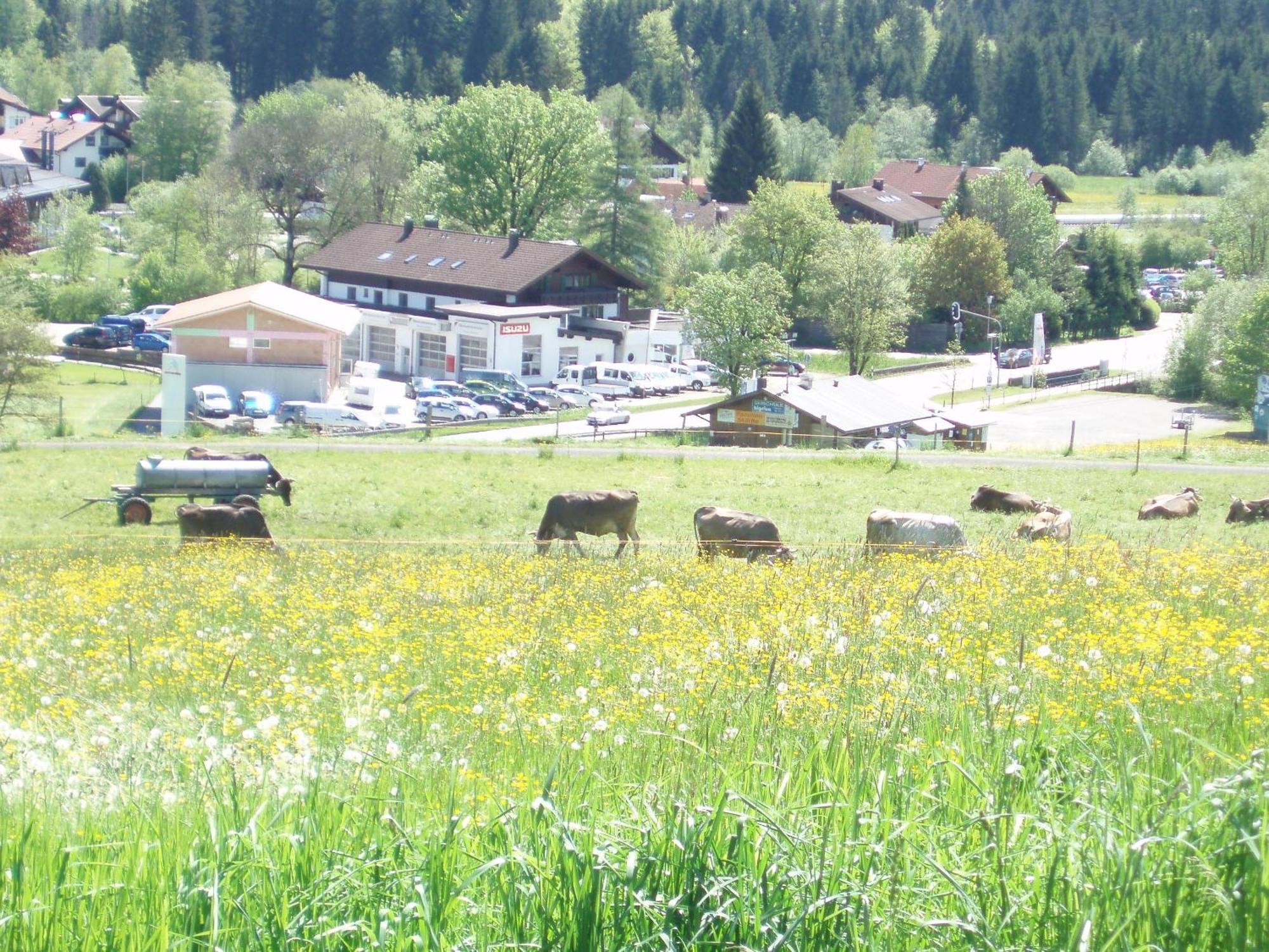 Hotel Alpenblick Fischen im Allgaeu Eksteriør billede